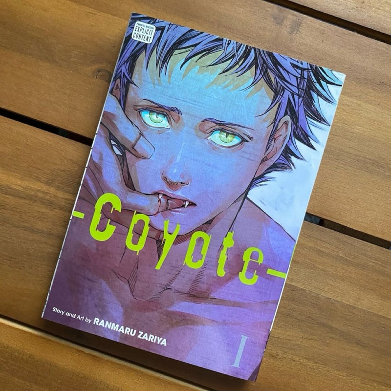 Coyote, Vol. 1