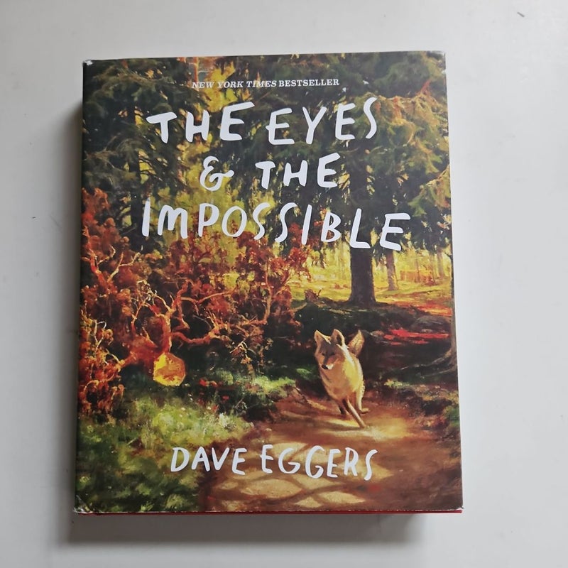 The Eyes and the Impossible