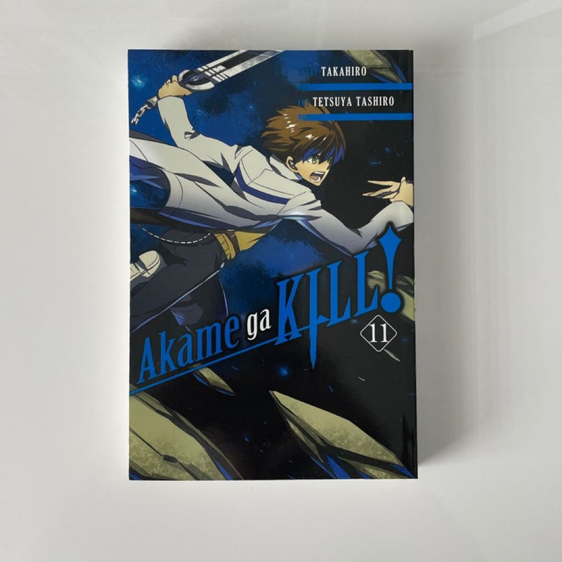 Akame Ga KILL!, Vol. 11