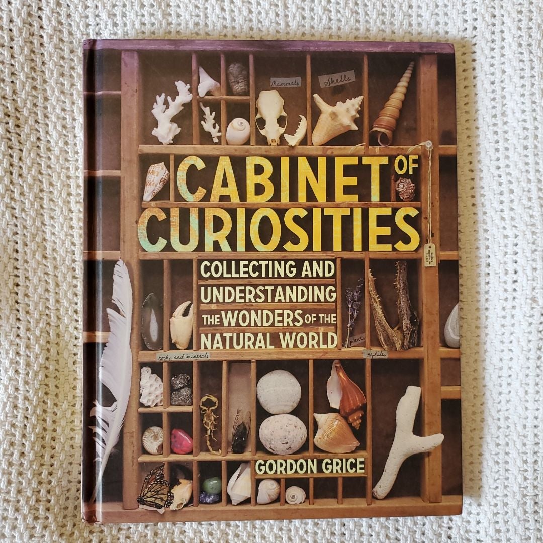 Cabinet of Curiosities