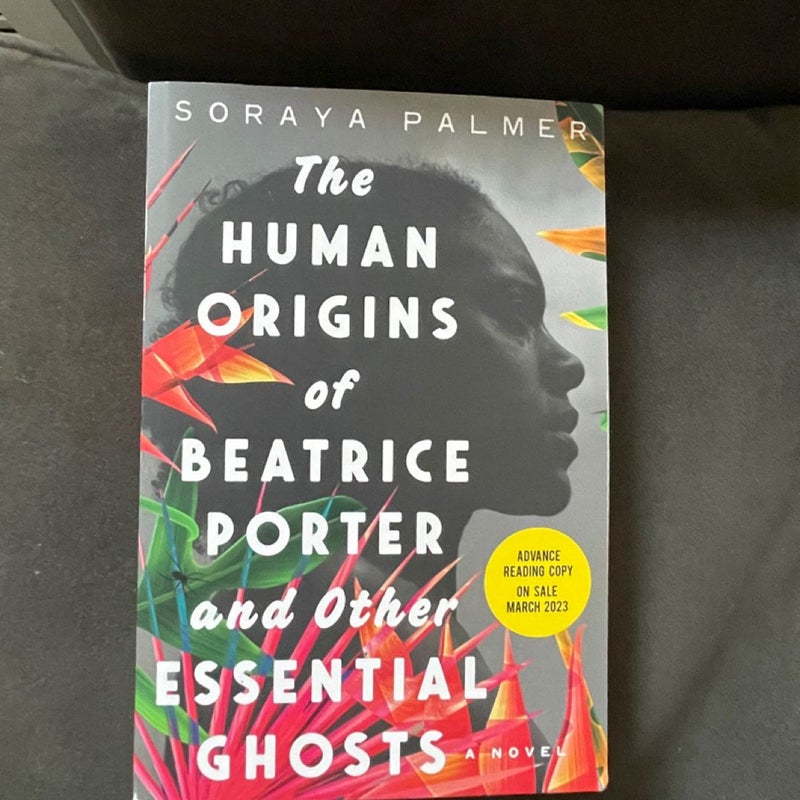 The Human Origins of Beatrice Porter and Other Essential Ghosts