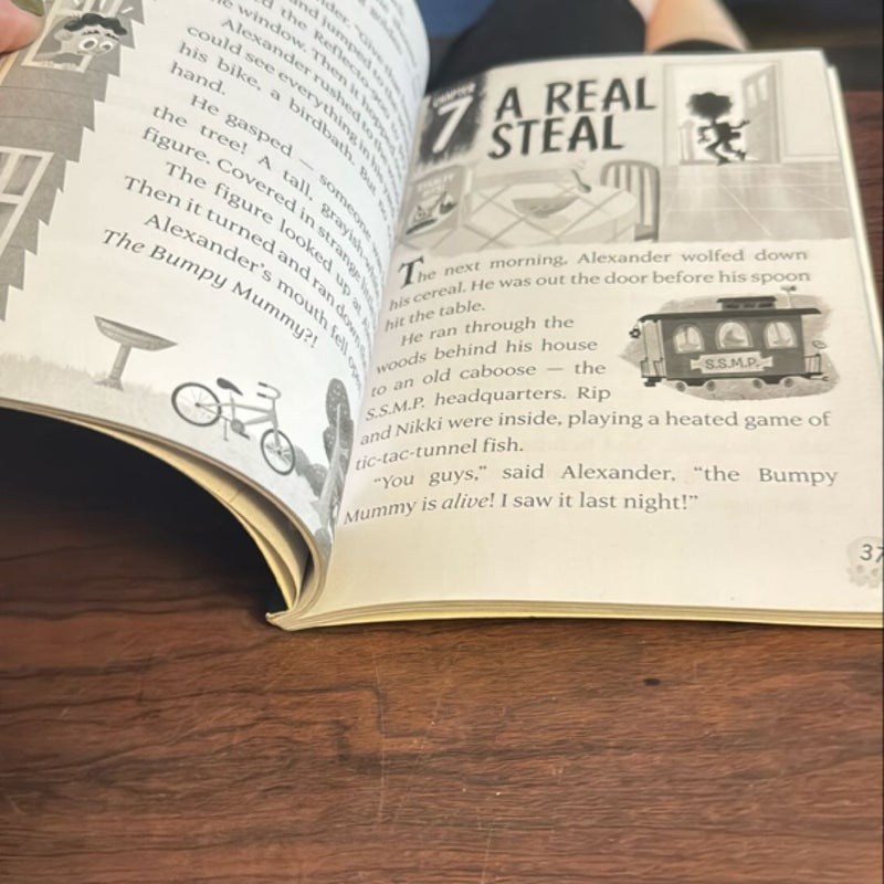 Pop of the Bumpy Mummy by Troy Cummings