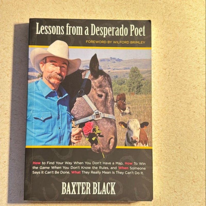 Lessons from a Desperado Poet