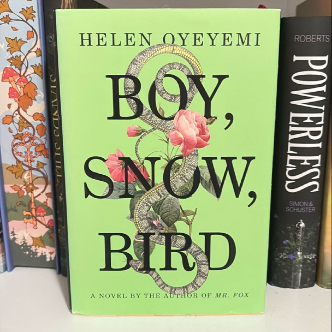 Boy, Snow, Bird