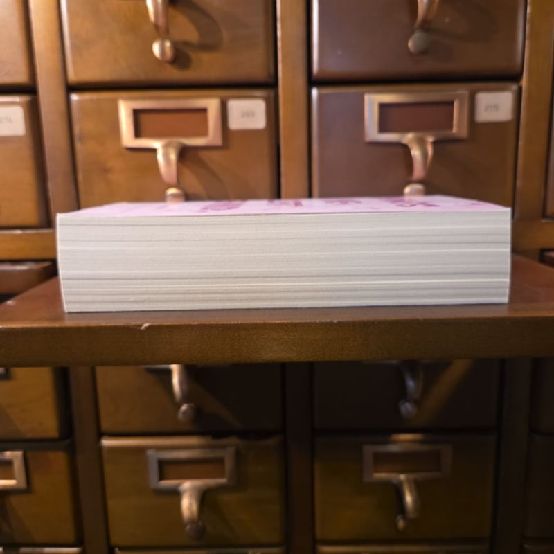 Things We Left Behind