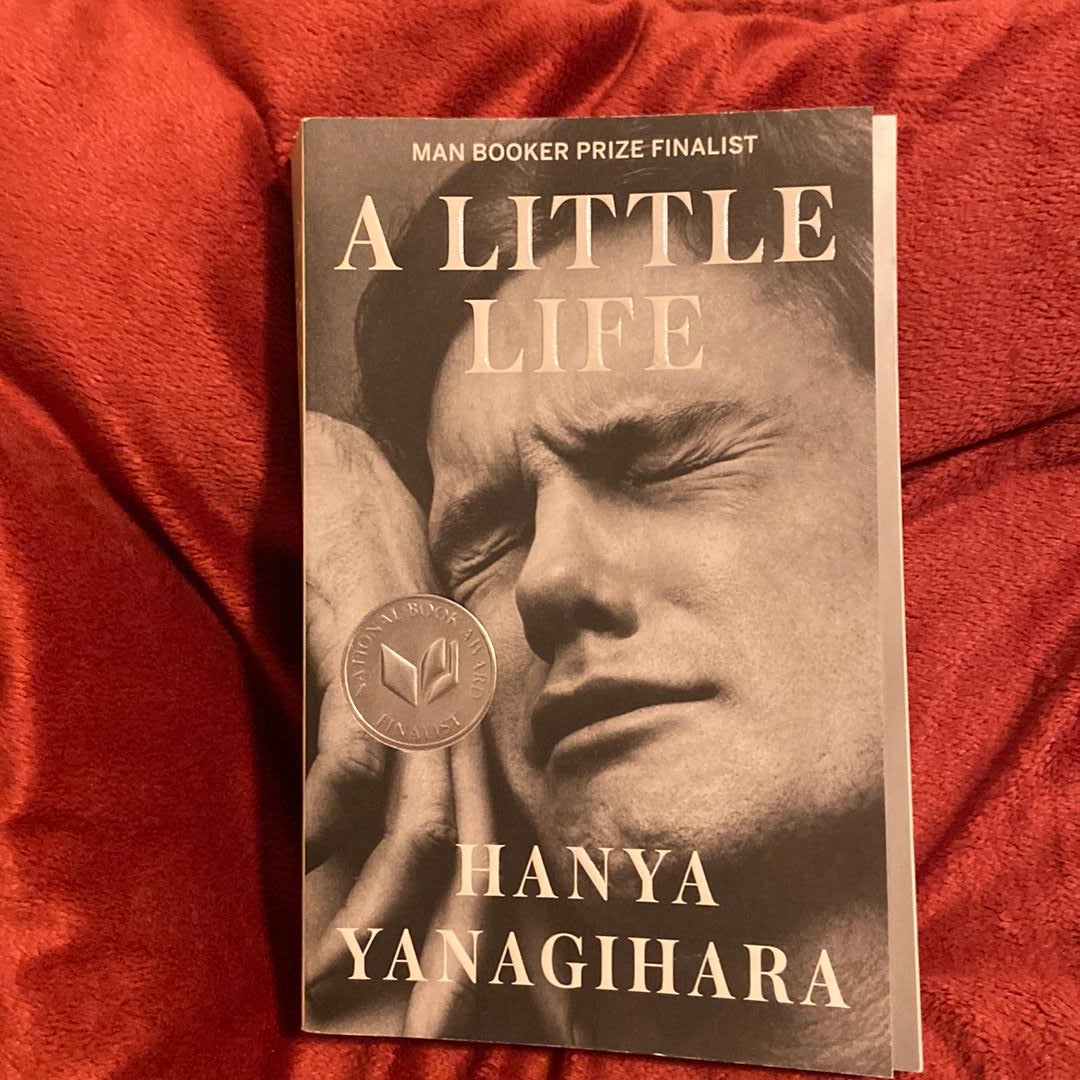 A Little Life - Hanya Yanagihara 2015 | 1st Edition | Rare First Edition  Books - Golden Age Children's Book Illustrations