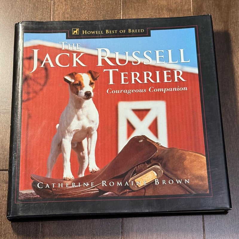 The Jack Russell Terrier