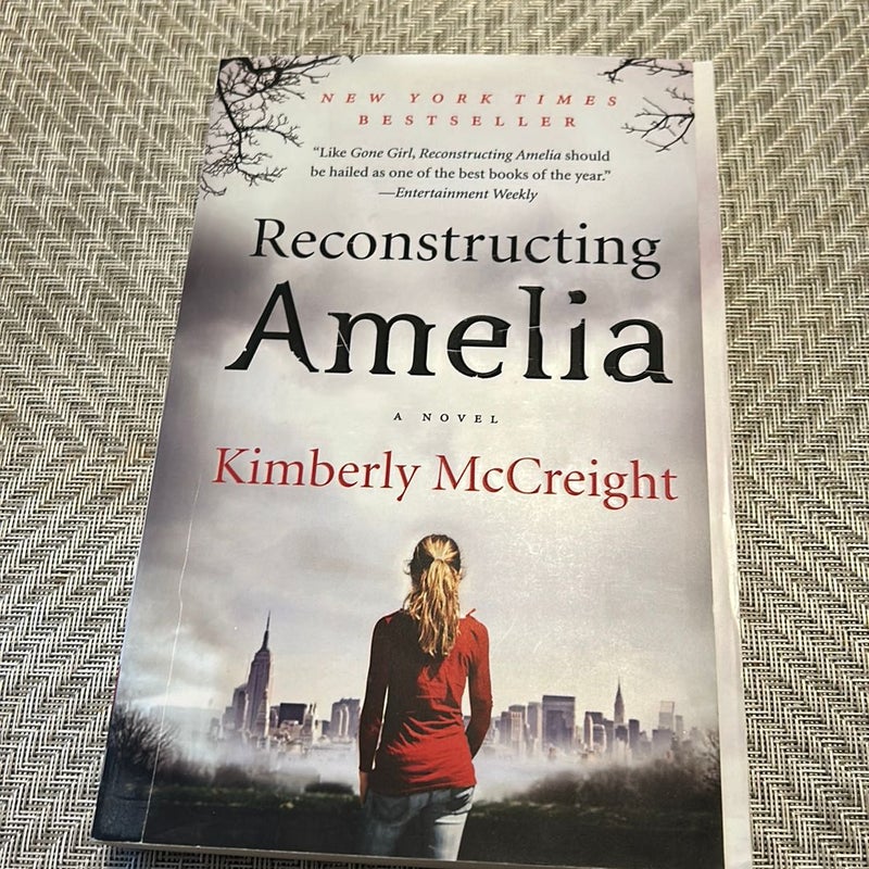 Reconstructing Amelia