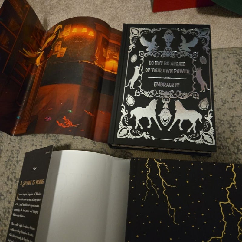 Signed bookish box young adult fantasy this dark descent the storm crow