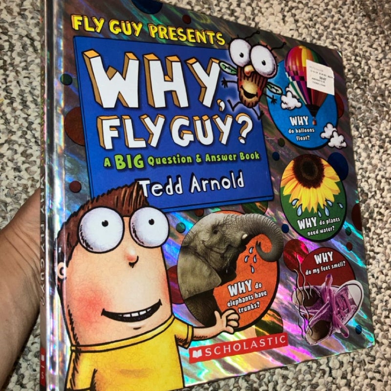 Why, Fly Guy?