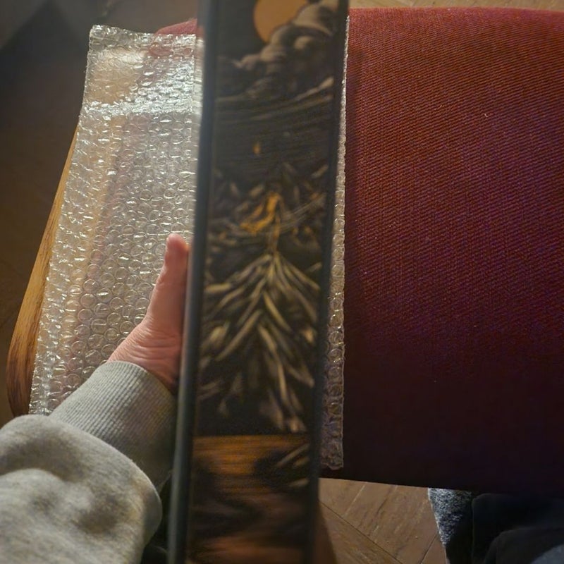 Heir- fairyloot edition