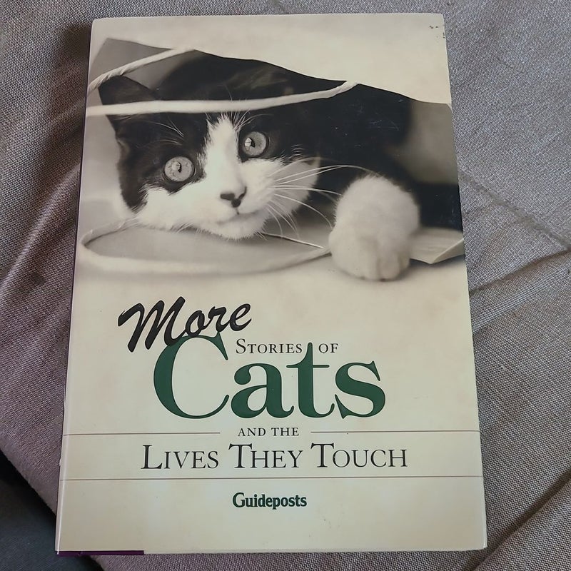 More Stories of Cats