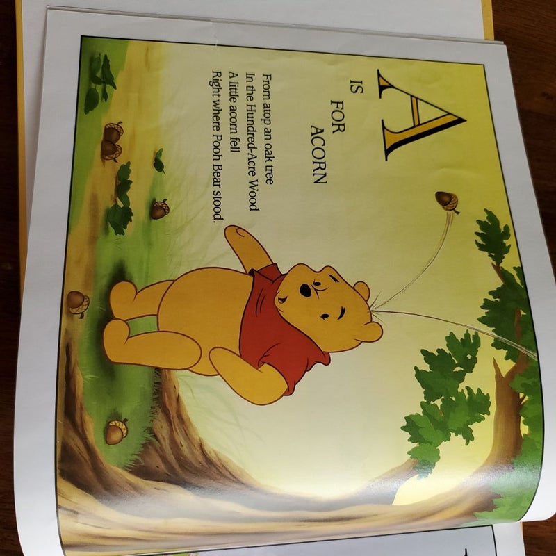 Winnie the Pooh's A to Zzzz by Don Ferguson, Hardcover