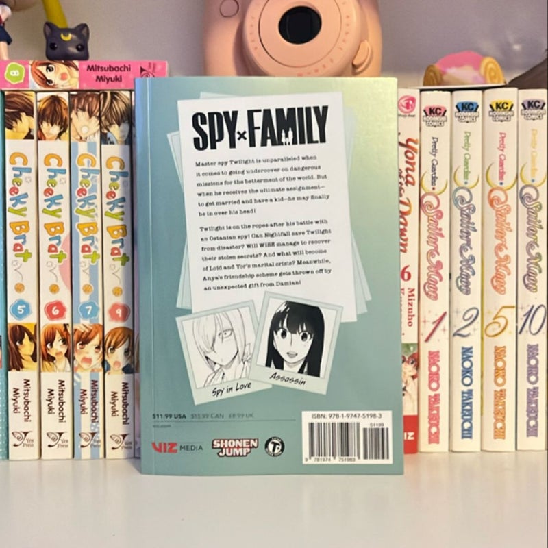 Spy X Family, Vol. 13