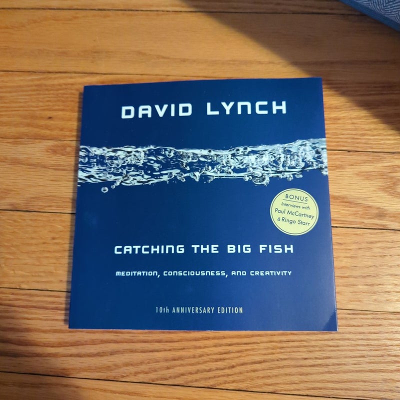 Catching the Big Fish by David Lynch, Paperback