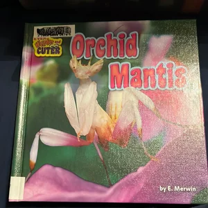 Orchid Mantis