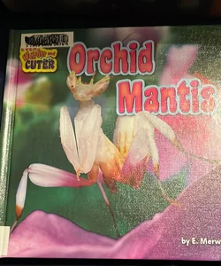 Orchid Mantis