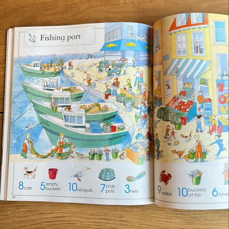 The Usborne Big Book of Things to Spot