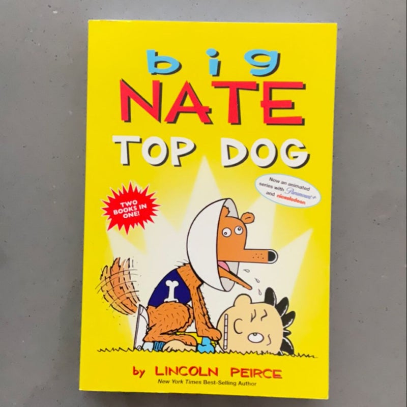 Big Nate: Top Dog