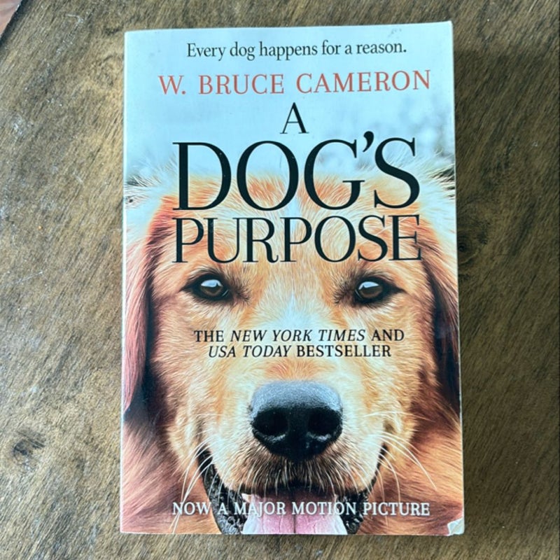 A Dog’s Purpose