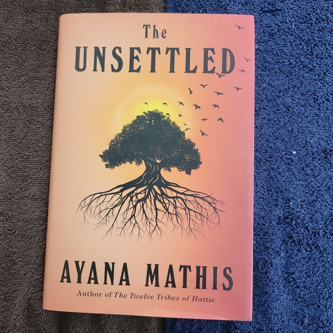 The Unsettled