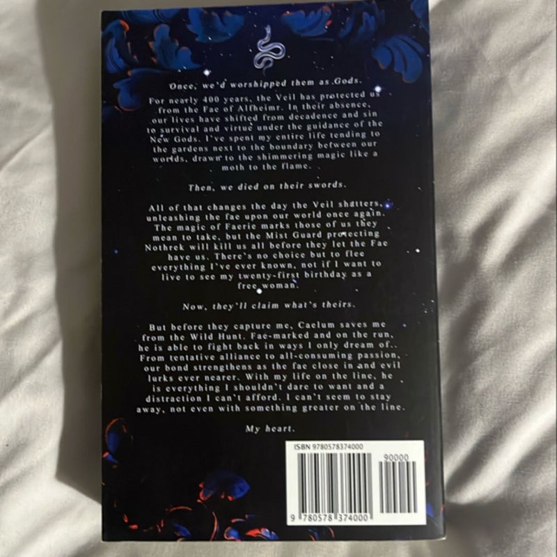 What Lies Beyond the Veil