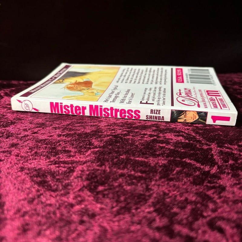 Mister Mistress vol 1