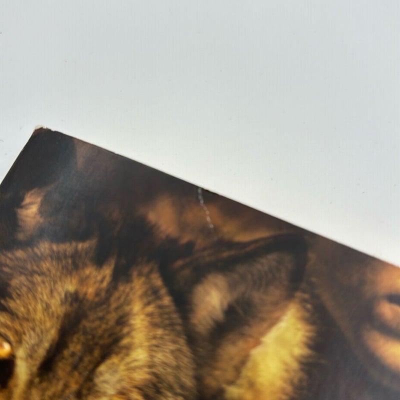 A Companion to Wolves