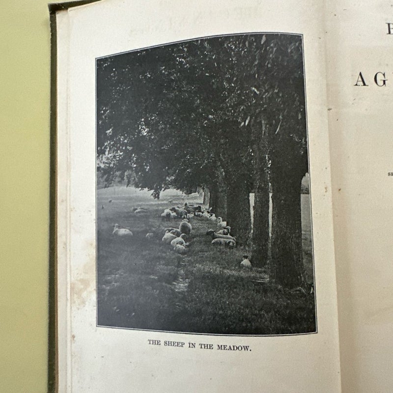 Beginnings of Agriculture 1911 1st Edition