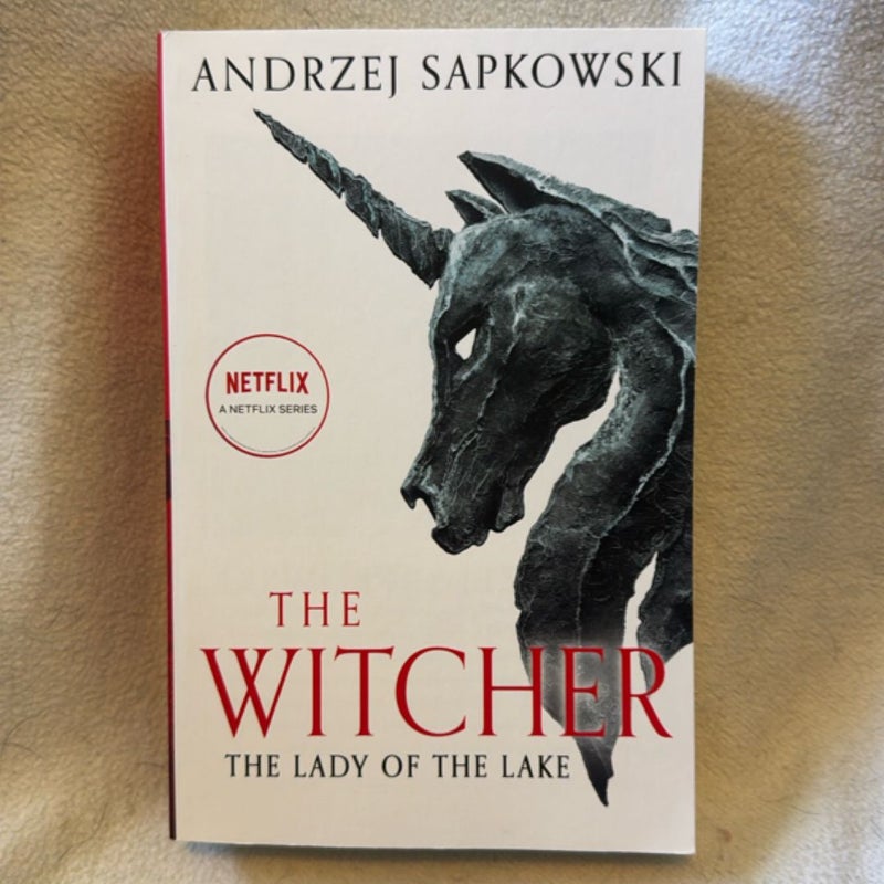The Witcher Series (books 1-5)