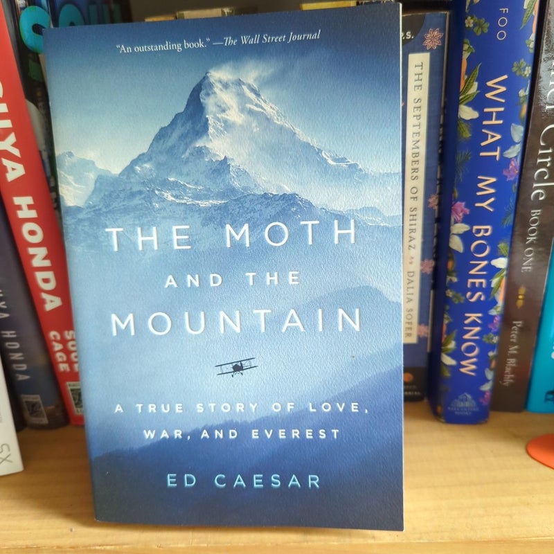 The Moth and the Mountain