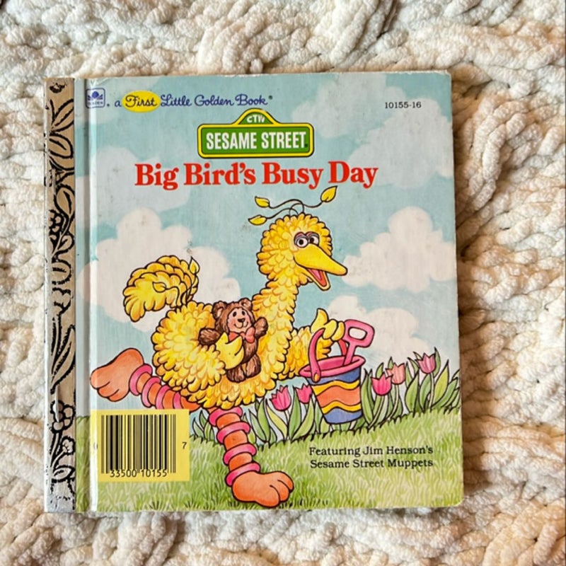 Sesame Street Big Bird's Busy Day