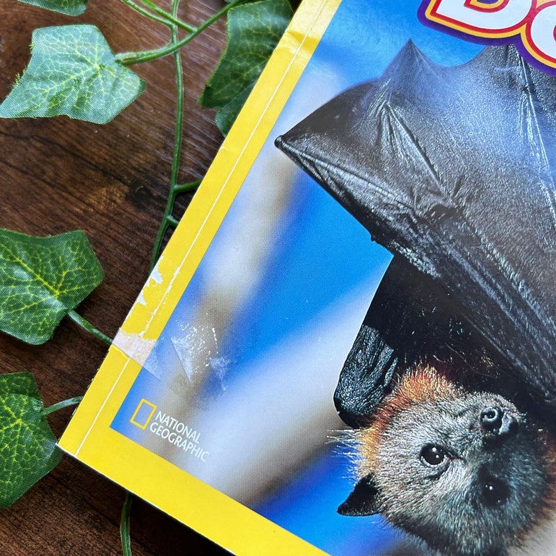 National Geographic Readers: Bats