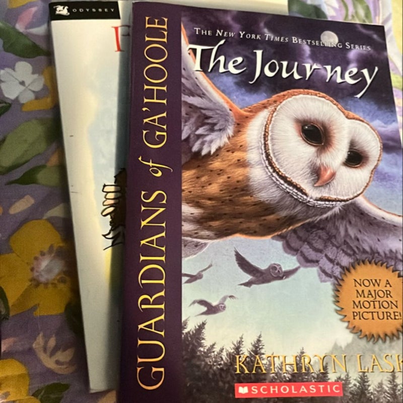 The Journey