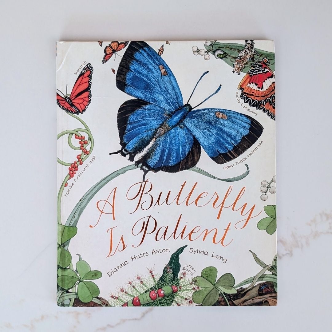 A Butterfly Is Patient