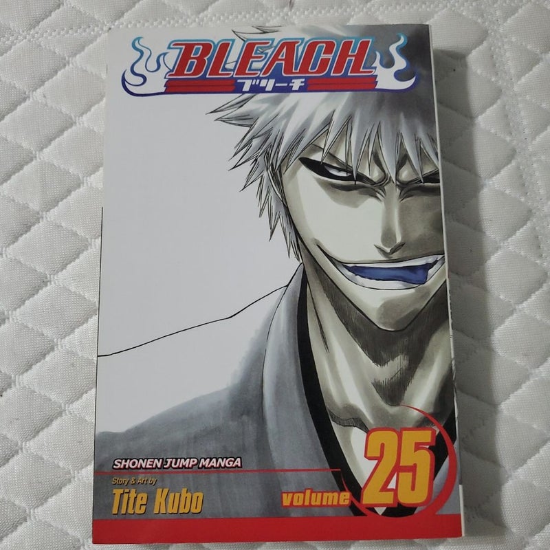 Bleach, Vol. 25