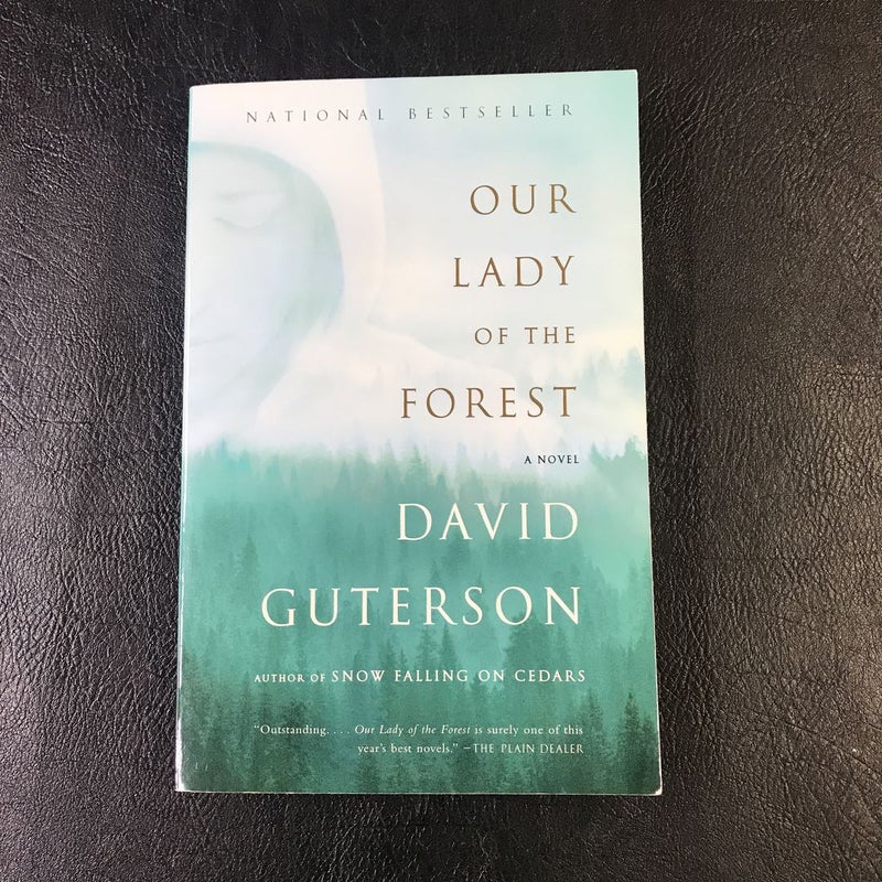 Our Lady of the Forest