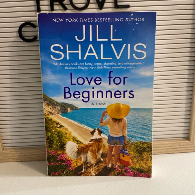 Love for Beginners
