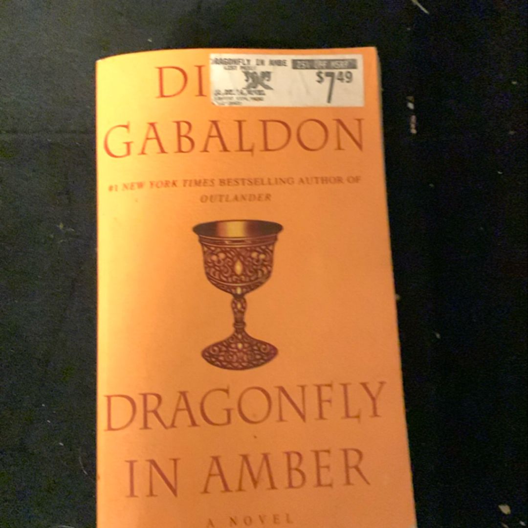 Dragonfly in Amber