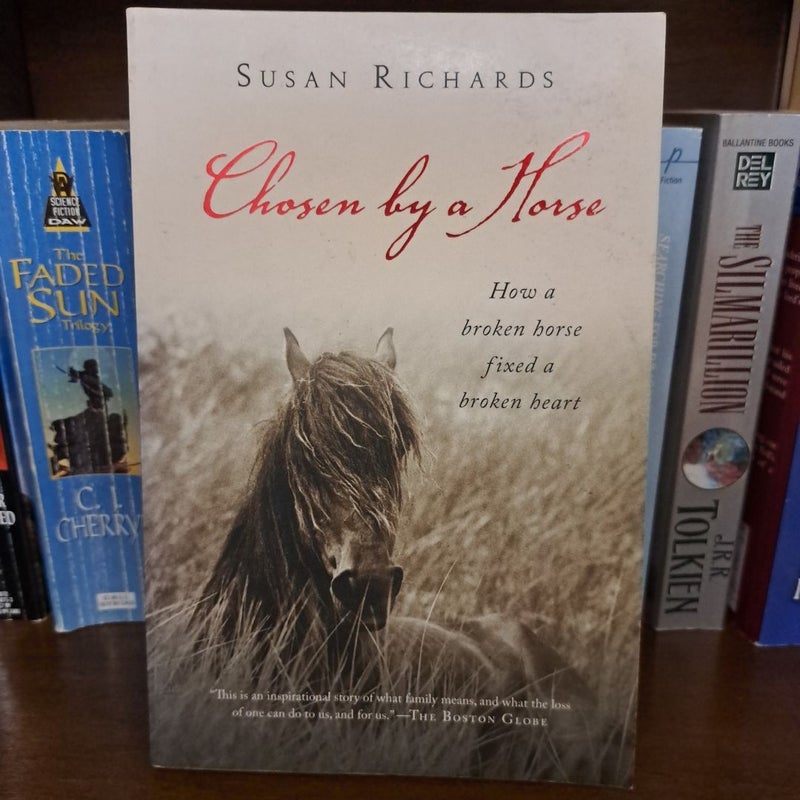 Chosen by a Horse