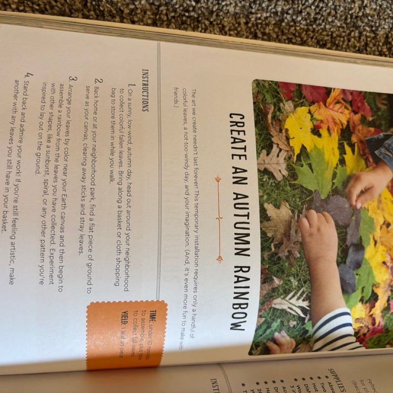 The Unplugged Family Activity Book