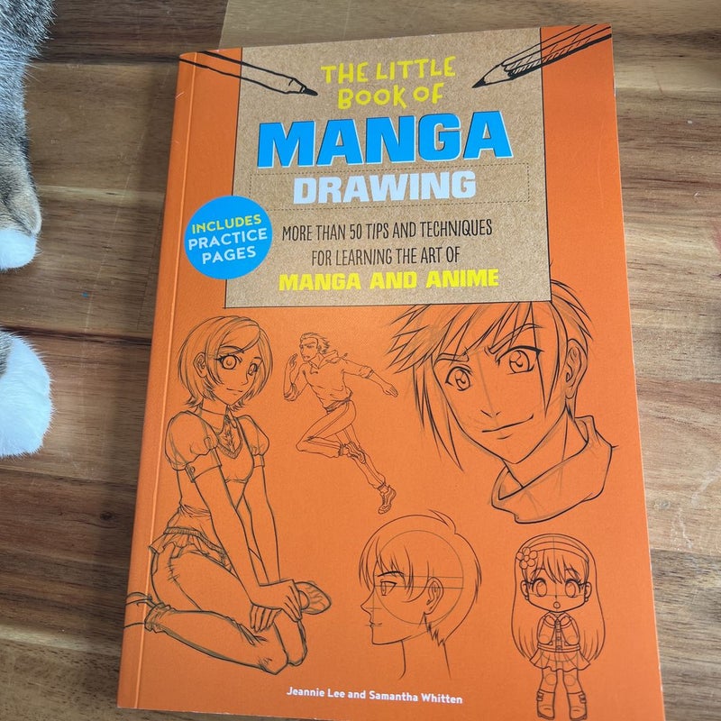 The Little Book of Manga Drawing