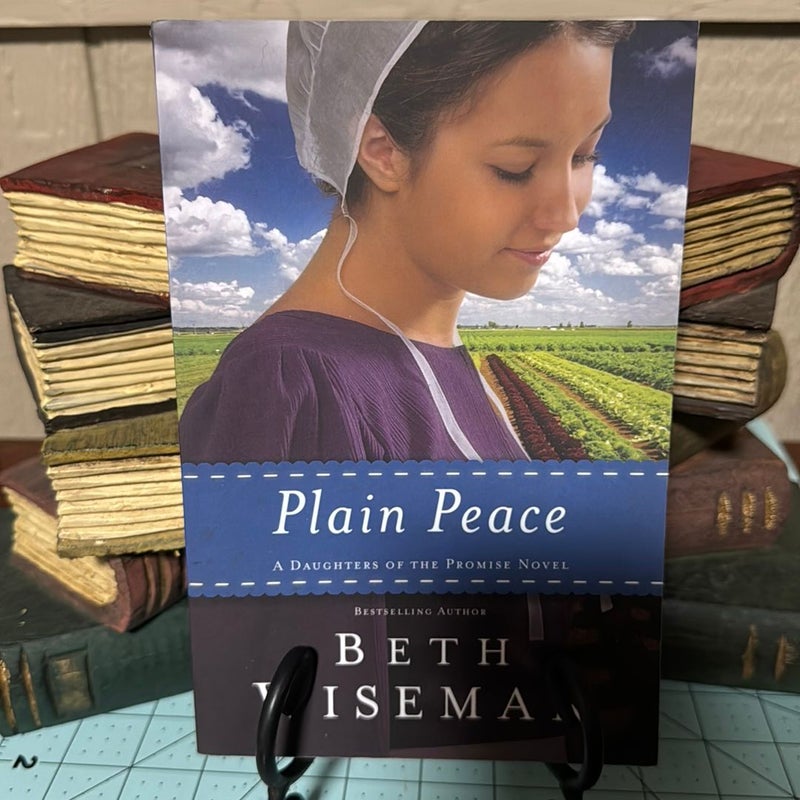 Amish 3-book bundle