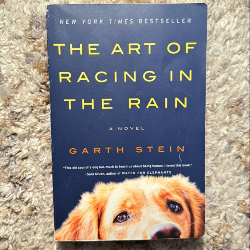 The Art of Racing in the Rain