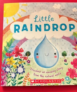 Little Raindrop