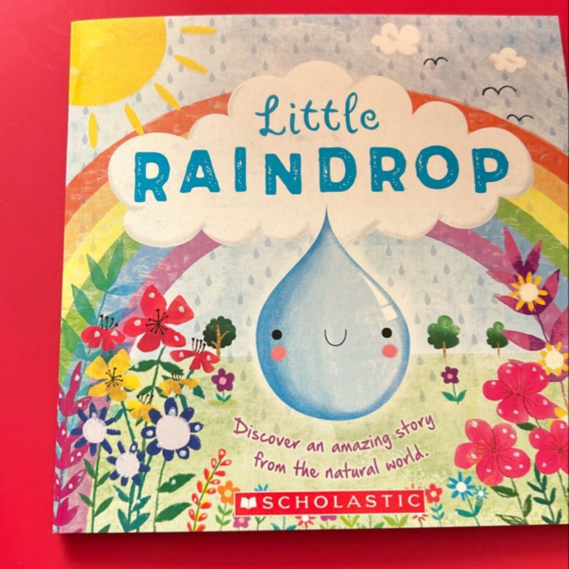 Little Raindrop