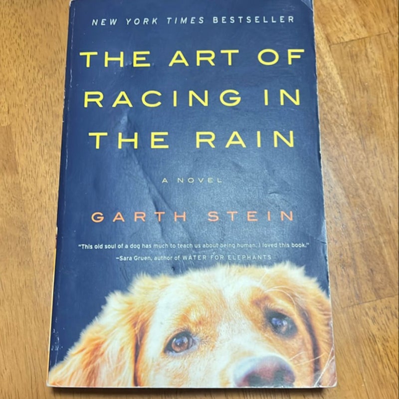 The Art of Racing in the Rain