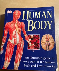 The Human Body