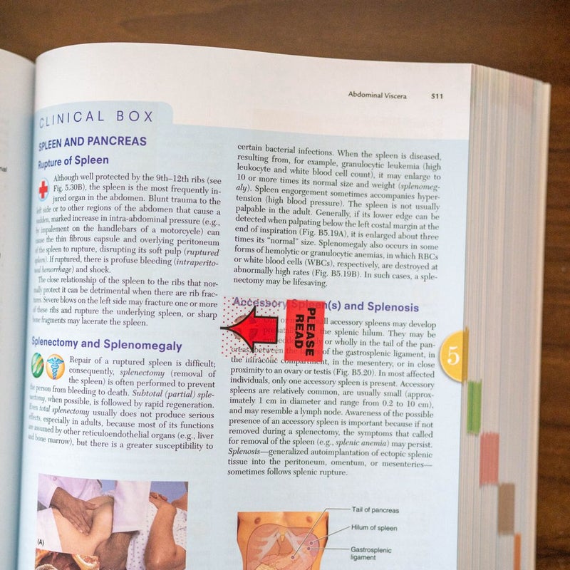 Moore's Clinically Oriented Anatomy
