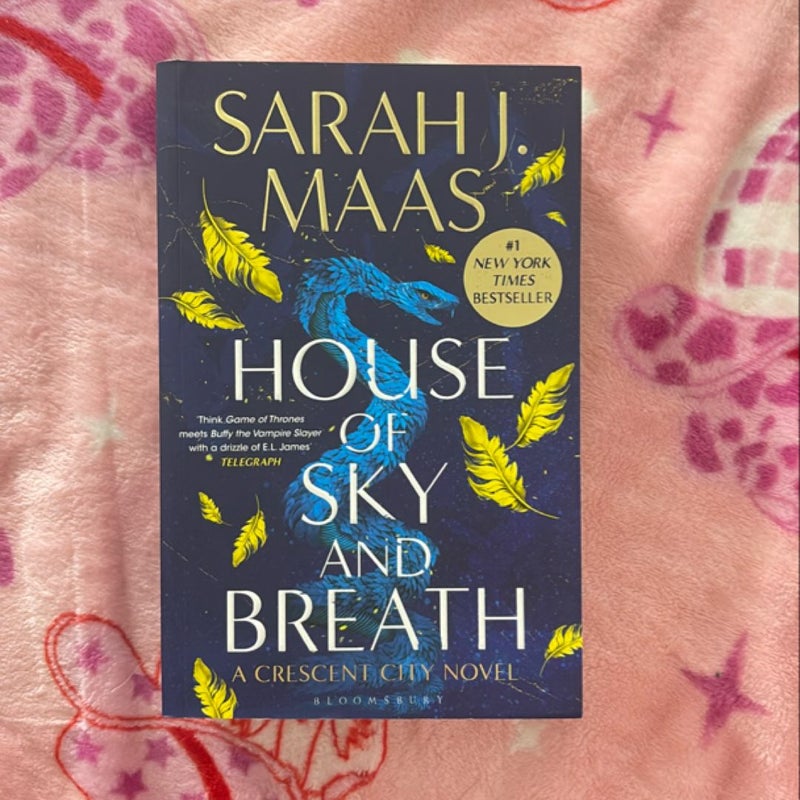 House of Sky and Breath (UK Paperback)